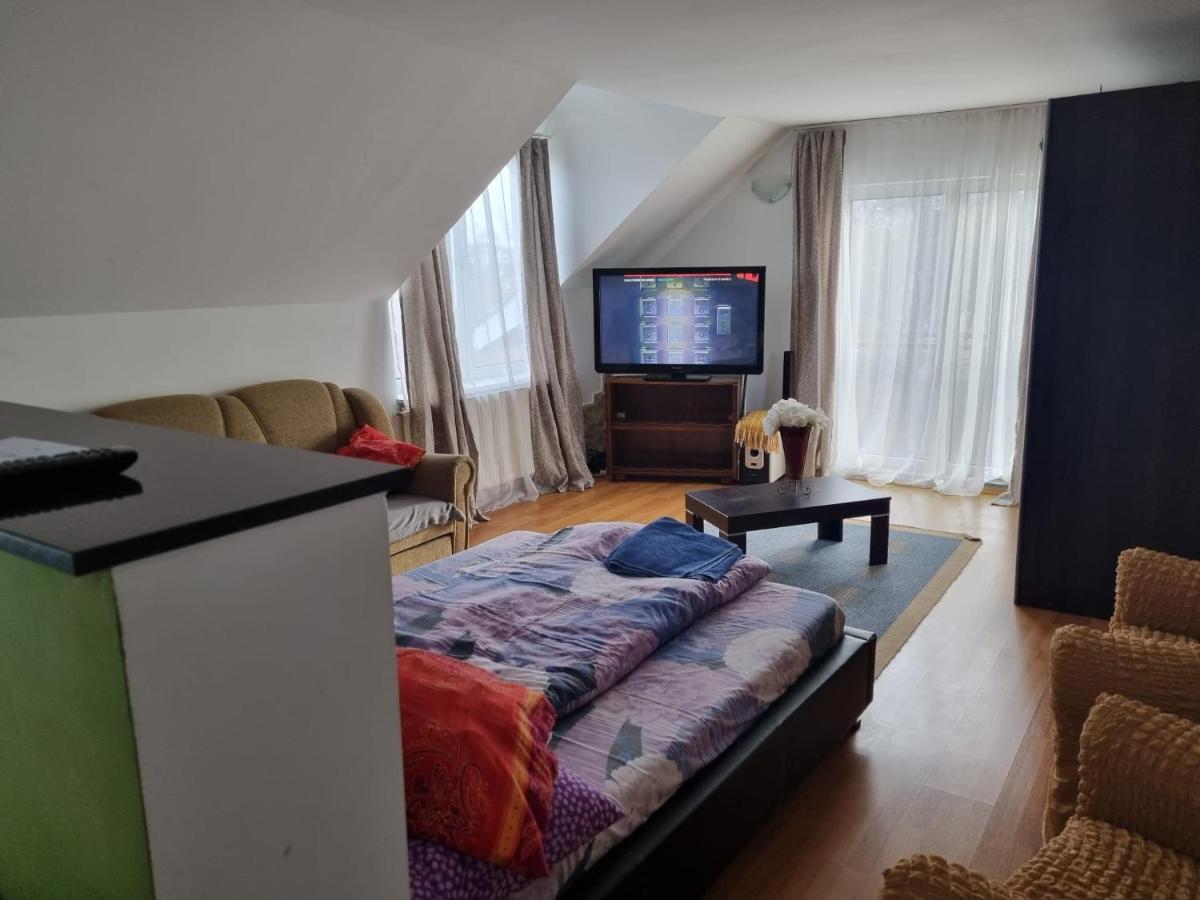Penthouse Apartament 2 Floors, 2 Bedroom , 2 Bath, 120 Sqm , Inside Yard Parking Κλουζ-Ναπόκα Εξωτερικό φωτογραφία